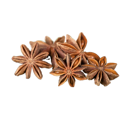 20231002_221252_0000_500x500