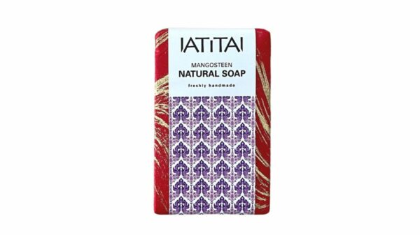 Savon naturel au mangoustan 100 g