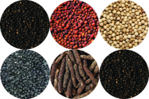 lot-6-poivres-1-e1699037251703